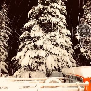 Meet your Posher, Travis